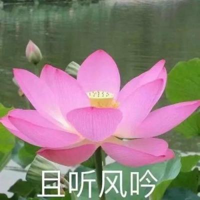 深圳本轮疫情感染者增至256例 官方辟谣多起“偷渡”传言